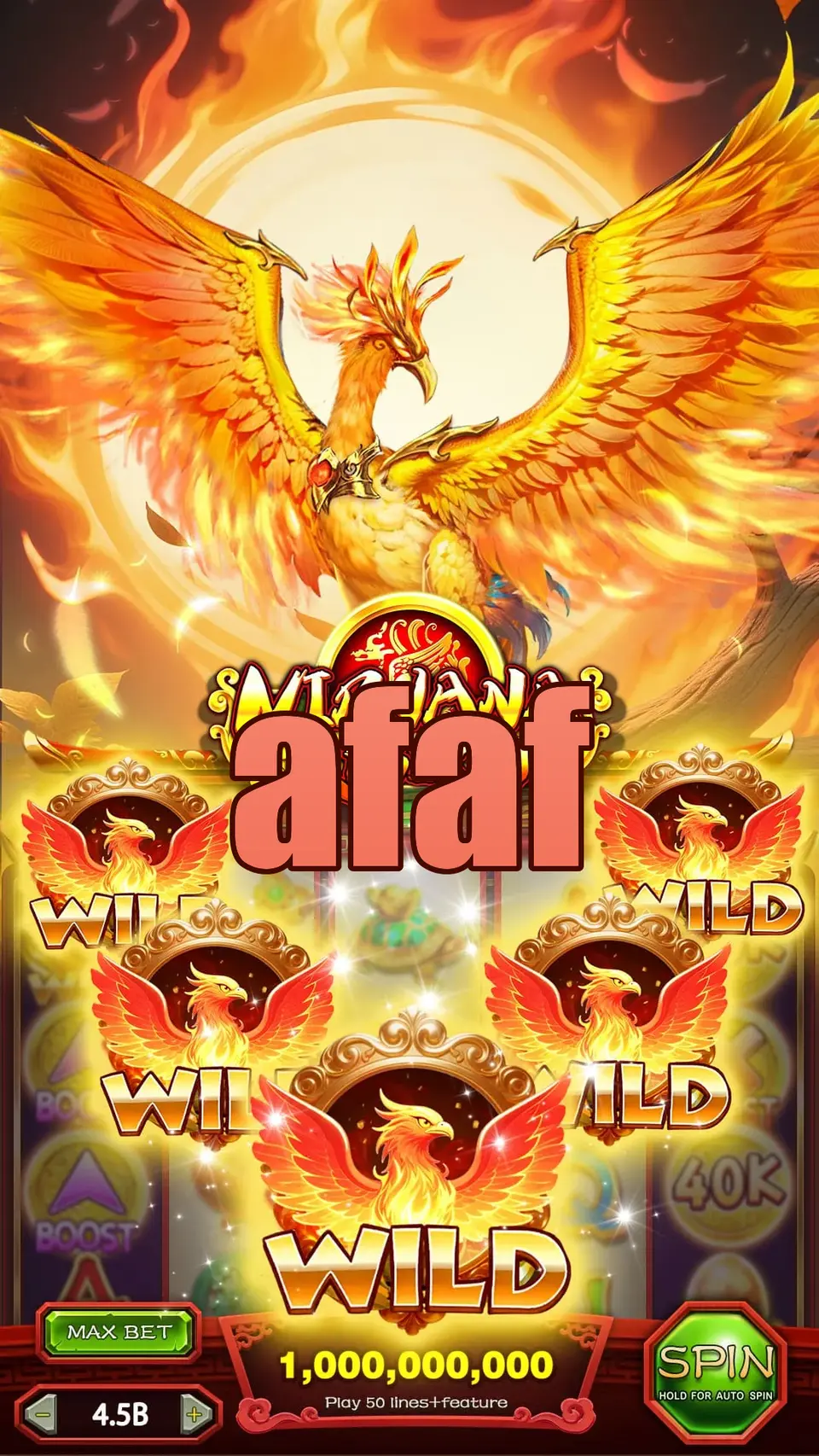 afaf Masuk